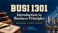 BUSI 1301- Introduction to Business Principles (College Course) — Ignite Learning